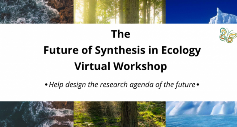 priorities for synthesis research in ecology and environmental science